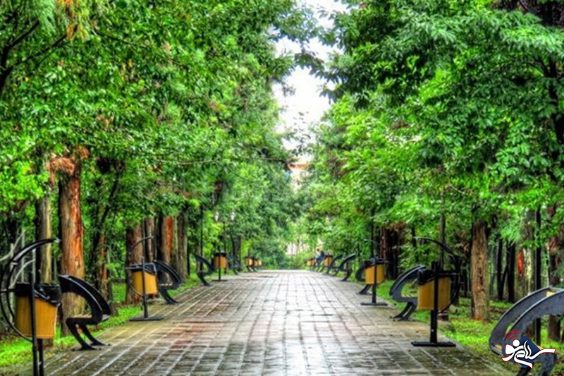 رشت لندینگ مقاصد