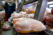 کاهش قیمت مرغ ادامه دار شد / هر کیلو به ۴۷ هزار تومان رسید