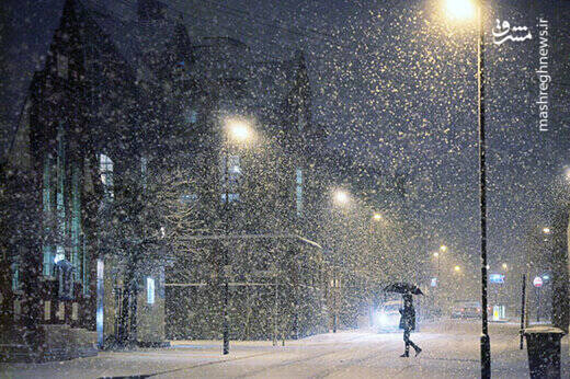 تصاویری از بارش برف شبانه در تهران / فیلم