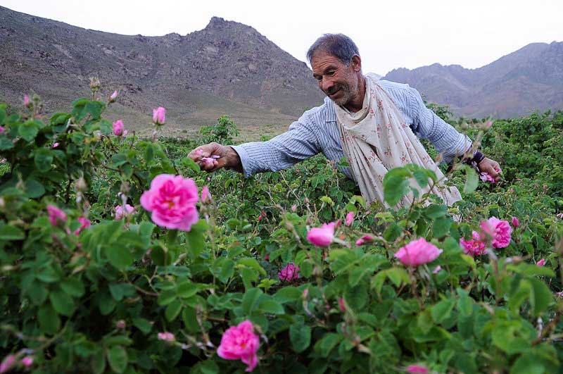 کاشان