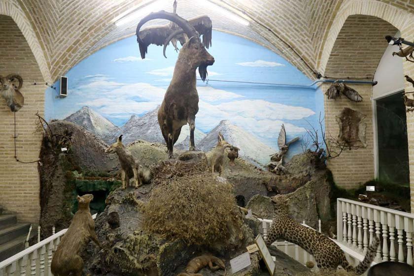 بازدید از موزه های بی‌همتا یزد