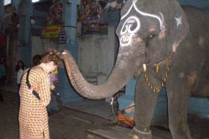 تصاویری از مراسم عجیب فیل‌پرستی در هند! / فیلم