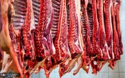 گوشت قرمز گران شد /  ۲ عامل اصلی گرانی قیمت گوشت مشخص شد