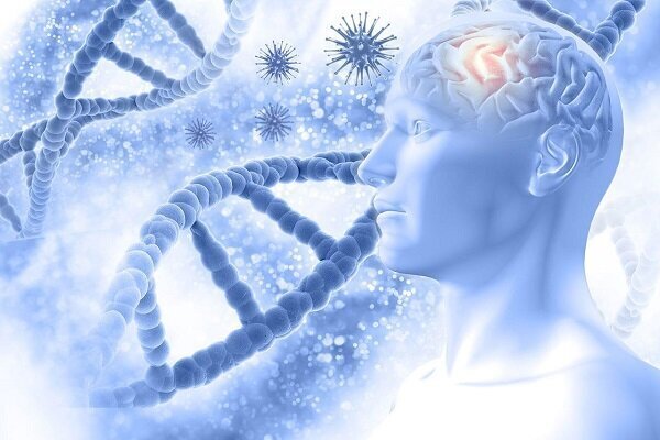 یافته‌های جدید محققان سوئدی درباره بیماری آلزایمر