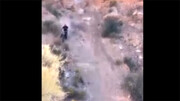 سقوط هولناک دوچرخه سوار از بالای کوه به ته دره + فیلم