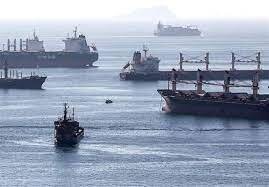 ترکیه ۱۷ میلیون تن غلات از کریدور دریای سیاه صادر کرده است