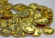 جدیدترین قیمت ربع سکه در بورس کالا / خرید ربع سکه از بورس چقدر سود دارد؟