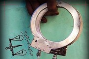 بازداشت ۱۹۸ دلال و اخلالگر بازار ارز در تهران