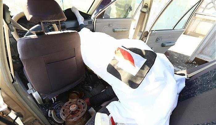 مرگ غم انگیز راننده ایرانی در غربت به دلیل گاز گرفتگی + فیلم