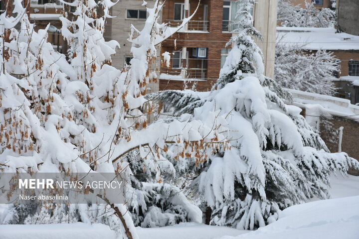 بارش برف ۴۰ سانتی متری در این منطقه از ایران