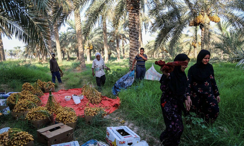 قشم و جذابترین جشنهای آن