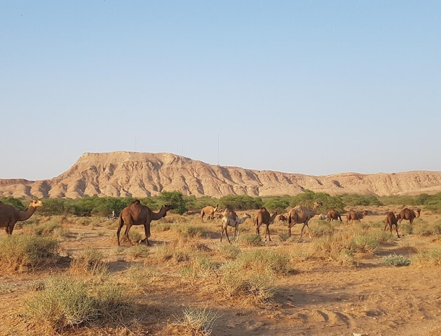 زیباترین روستاهای اطراف اهواز