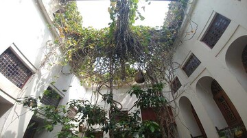 چند جاذبه دیدنی در بوشهر