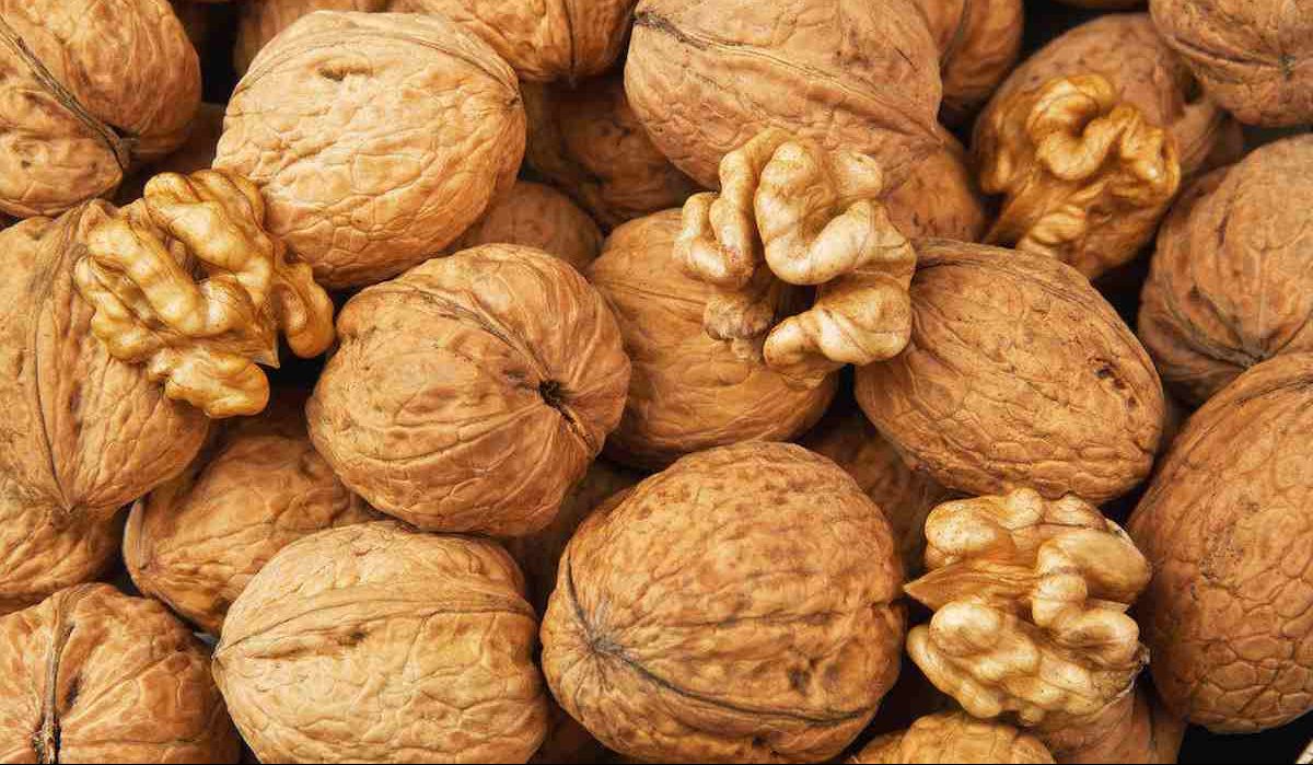 این خشکبار را بخورید تا بیماری قلبی نگیرید + بهترین خشکبار آنلاین