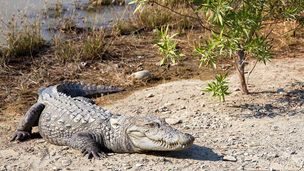 روستاهای اطراف چابهار که باید دید