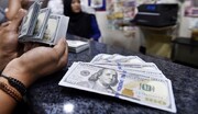 نرخ دلار برای امروز ۳ بهمن ۱۴۰۱