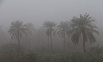 تصایری زیبا از مه و رطوبت ۱۰۰ درصدی در آبادان و خرمشهر / فیلم