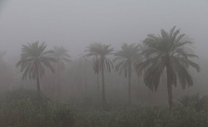 تصایری زیبا از مه و رطوبت ۱۰۰ درصدی در آبادان و خرمشهر / فیلم