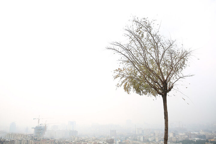 وضعیت قرمز آلودگی هوای تهران در ۲۲ ایستگاه / آلوده‌ترین منطقه تهران کجاست؟