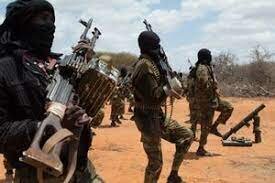 کشته شدن ۳۹ عضو الشباب در سومالی