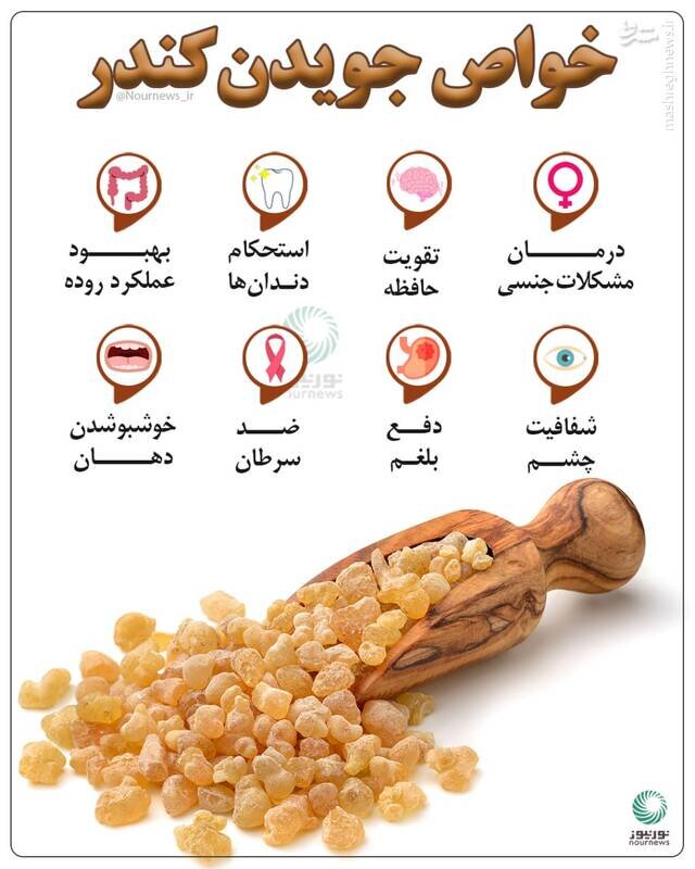 سلام نو - فواید باورنکردنی جویدن کندر برای بدن + عکس - صاحبخبر
