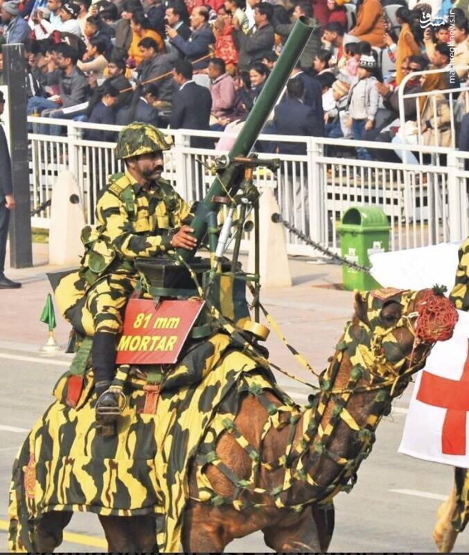  رژه عجیب ارتش این کشور بر روی شتر! / فیلم