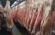 بازار گوشت قرمز درگیر دلالی/ هر کیلو گوشت وارداتی روسی ۱۸۰ هزار تومان