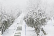 بارش برف نیم متر در این منطقه از تهران