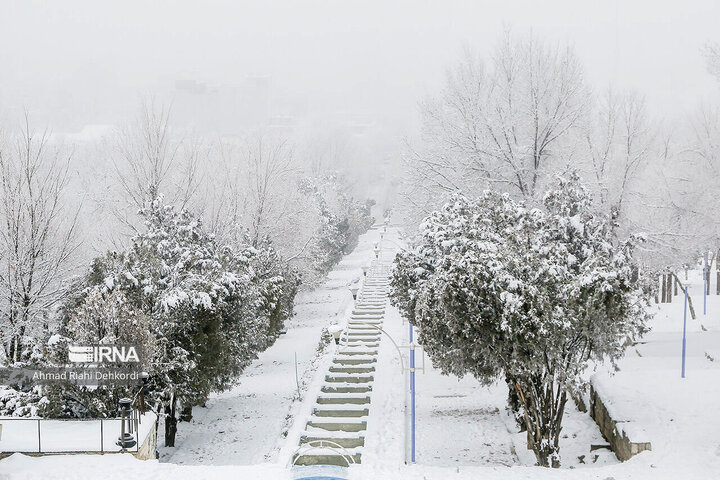 بارش برف نیم متری در آبعلی تهران + عکس