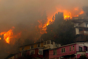 آتش‌سوزی هولناک در جنگل‌های شیلی / ۱۴ نفر جان باختند! + فیلم