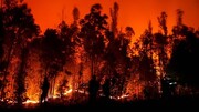 مرگ دلخراش ۲۳ شهروند درپی آتش سوزی وحشتناک در شیلی + فیلم