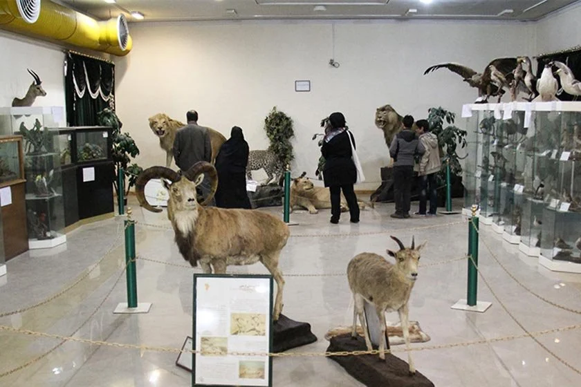 چند موزه جالب و تماشایی در اردبیل