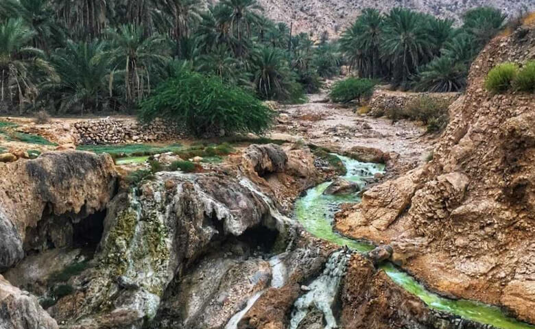 دیدنیترین جاذبههای گردشگری بندرعباس