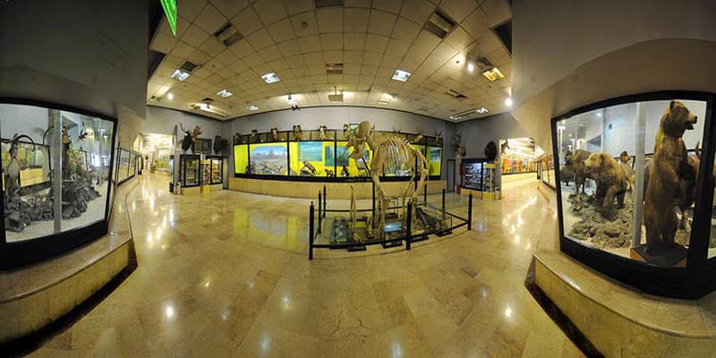 دو موزه شگفت‌انگیز حیات وحش در تهران