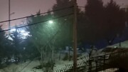 شروع بارش برف سنگین در تهران + فیلم