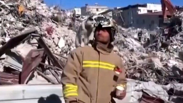 علاقه عجیب حیوان خانگی به امدادگر پس از نجات از زلزله ترکیه + فیلم
