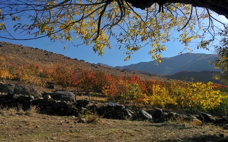 روستای افجه تهران کجاست؟