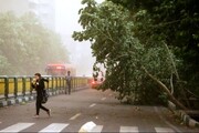 وزش باد شدید در تهران + هشدار جدی هواشناسی به شهروندان
