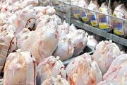 قیمت مرغ به کیلویی ۶۵ هزار تومان رسید