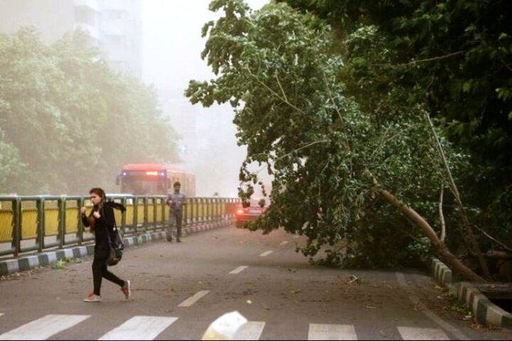 وزش باد شدید در تهران + هشدار جدی هواشناسی به شهروندان