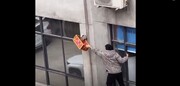 لحظه نجات گربه نگون بختی که بین دو دیوار یک ساختمان گیر کرده است! + فیلم