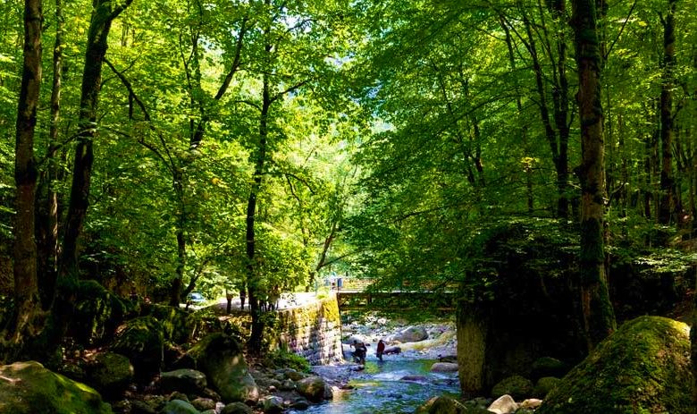 سفر یک روزه به رامسر