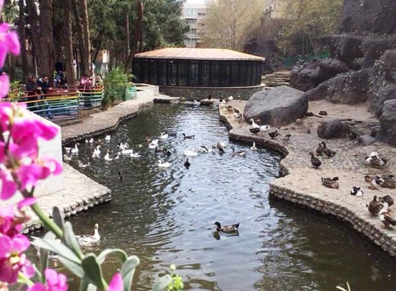 دانستنی‌های جذاب درباره پارک ساعی تهران