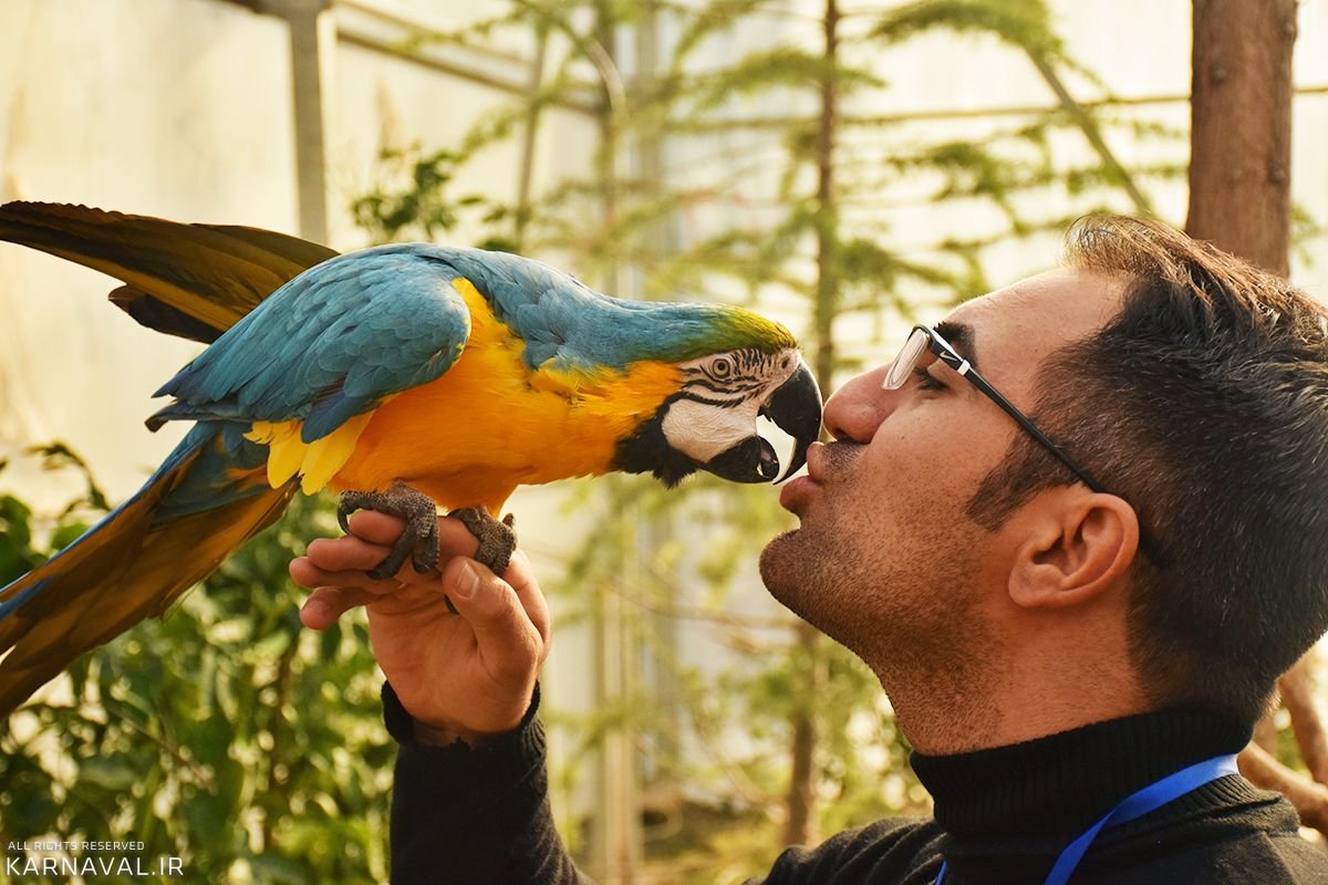 بازدیدی جذاب از باغ پرندگان تهران