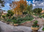 دانستنی‌های جذاب درباره پارک ساعی تهران