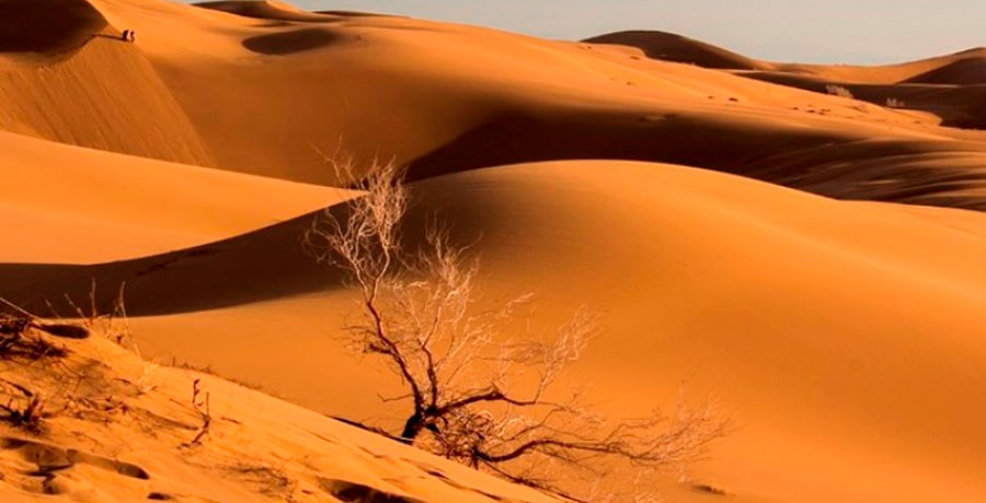 بهترین کویرهای ایران+ مسیر دسترسی