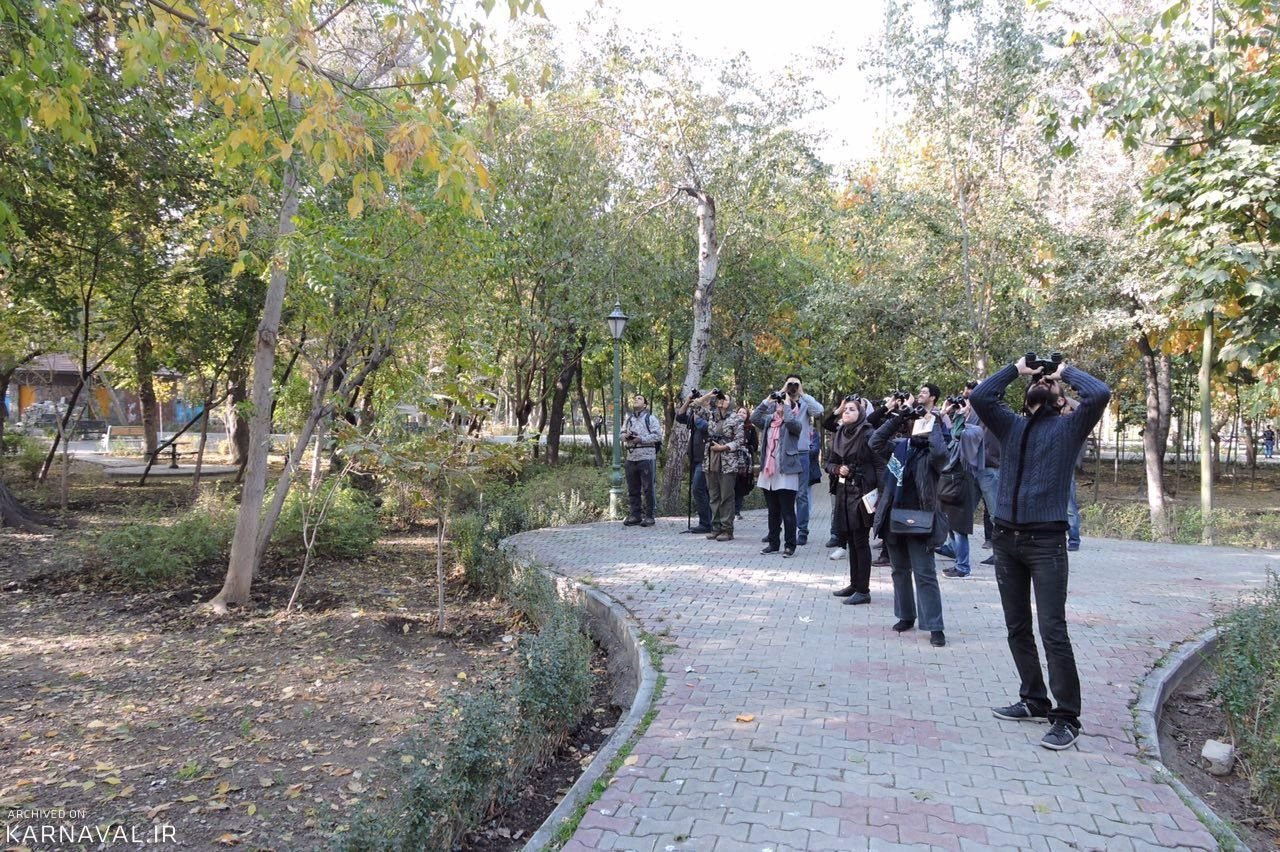 چند جاذبه تماشایی در پارک شهر تهران