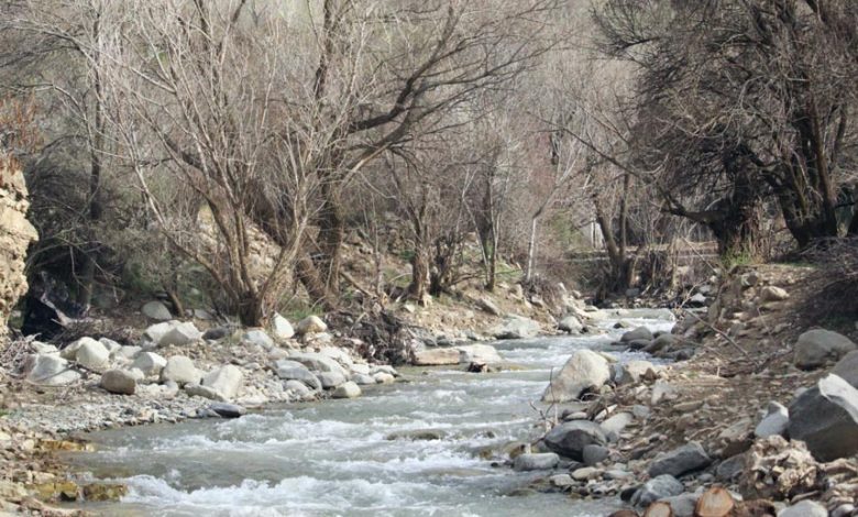 رودخانه های جاده چالوس