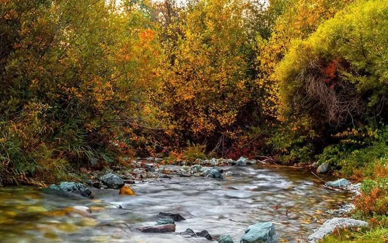 رودخانه های جاده چالوس