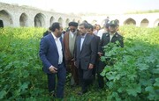 دستور وزیر میراق فرهنگی برای مرمت کاروانسرای تاریخی دالکی بوشهر